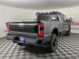 New 2025 Ford F250 Platinum image 3