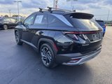 Used 2025 Hyundai Tucson Limited image 3