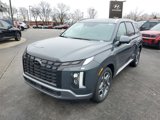 New 2025 Hyundai Palisade SEL image 2