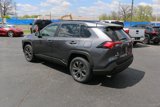 Used 2023 Toyota RAV4 XLE Premium image 4