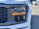 Used 2024 Ford F150 STX image 6