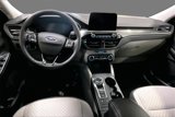 New 2025 Ford Escape Active w/ Cold Weather Package image 2