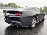 Used 2024 Ford Mustang Coupe image 6