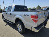 Used 2014 Ford F150 XLT w/ XLT Convenience Package image 4