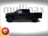 New 2025 Ford F150 Raptor image 2