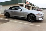 Used 2023 Ford Mustang Premium w/ Equipment Group 201A image 6