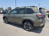 New 2025 Subaru Forester Limited image 4
