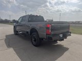 New 2025 Ford F250 Platinum image 5