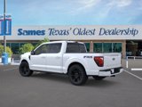 New 2025 Ford F150 Platinum image 4