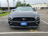 Used 2023 Ford Mustang Premium image 2