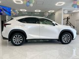 Used 2020 Lexus NX 300 AWD w/ Comfort Package image 5