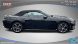 Used 2024 Ford Mustang Premium image 4