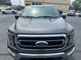Used 2021 Ford F150 XLT w/ Equipment Group 302A High image 4