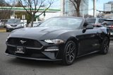 Used 2022 Ford Mustang Premium image 6