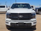 New 2025 Ford F150 Platinum w/ Equipment Group 702A High image 2
