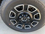 New 2025 Ford F250 Platinum image 5