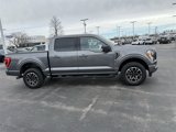 Used 2023 Ford F150 XLT w/ Equipment Group 302A High image 3