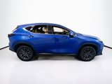 Used 2023 Lexus NX 250 FWD image 4