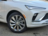 New 2025 Buick Envista Avenir image 3