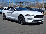 Used 2022 Ford Mustang Premium image 2
