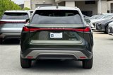 New 2025 Lexus RX 350 image 6
