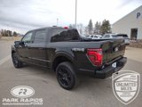 New 2025 Ford F150 Platinum w/ Equipment Group 702A High image 3