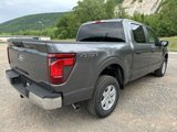 New 2025 Ford F150 XL w/ Equipment Group 103A High image 4