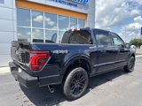 New 2025 Ford F150 Platinum image 2