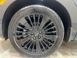 New 2025 Hyundai Santa Fe Calligraphy image 5