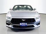 Used 2024 Ford Mustang Premium image 2