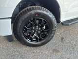 New 2025 Ford F150 XLT image 6