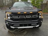 New 2025 Ford F150 Raptor image 2