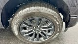 New 2025 Ford F150 XLT w/ Equipment Group 302A MID image 4