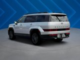 New 2025 Hyundai Santa Fe Calligraphy image 5