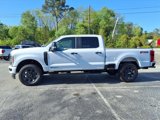 New 2025 Ford F250 XL w/ STX Appearance Package image 4