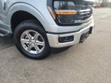 New 2025 Ford F150 XLT w/ Equipment Group 302A MID image 2