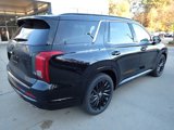 New 2025 Hyundai Palisade Calligraphy image 2