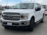 Used 2019 Ford F150 XLT w/ Equipment Group 302A Luxury image 4