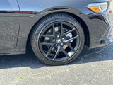Used 2024 Honda Civic Si image 5
