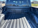 New 2025 Ford F150 XLT w/ Equipment Group 302A MID image 6