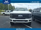 New 2026 Ford F250 Platinum w/ Tremor Off-Road Package image 2