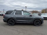 New 2025 Hyundai Palisade XRT image 2