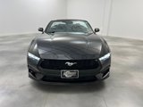 Used 2024 Ford Mustang Premium image 2