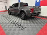 Used 2019 Ford F150 Raptor w/ Equipment Group 802A Luxury image 5