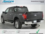 New 2025 Ford F150 XLT w/ Equipment Group 303A High image 5