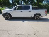 Used 2019 Ford F150 XL w/ Equipment Group 101A Mid image 5