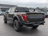 New 2025 Ford F150 Raptor image 5