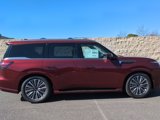 New 2025 INFINITI QX80 Sensory w/ Exterior Package image 3