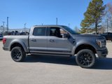 New 2025 Ford F150 Lariat w/ Equipment Group 502A High image 2