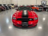 Used 2008 Ford Mustang Shelby GT500 image 2